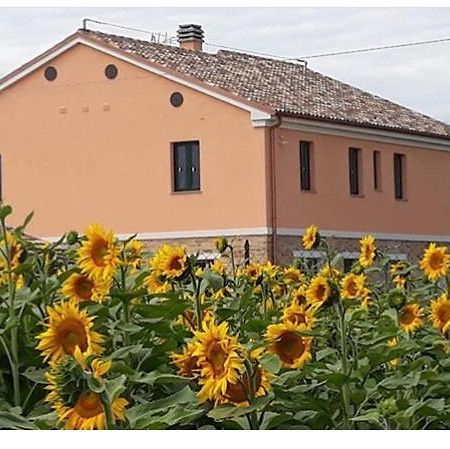 La Dolce Vita Porto Recanati Zewnętrze zdjęcie
