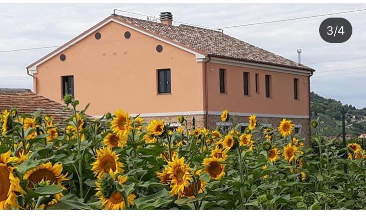 La Dolce Vita Porto Recanati Zewnętrze zdjęcie