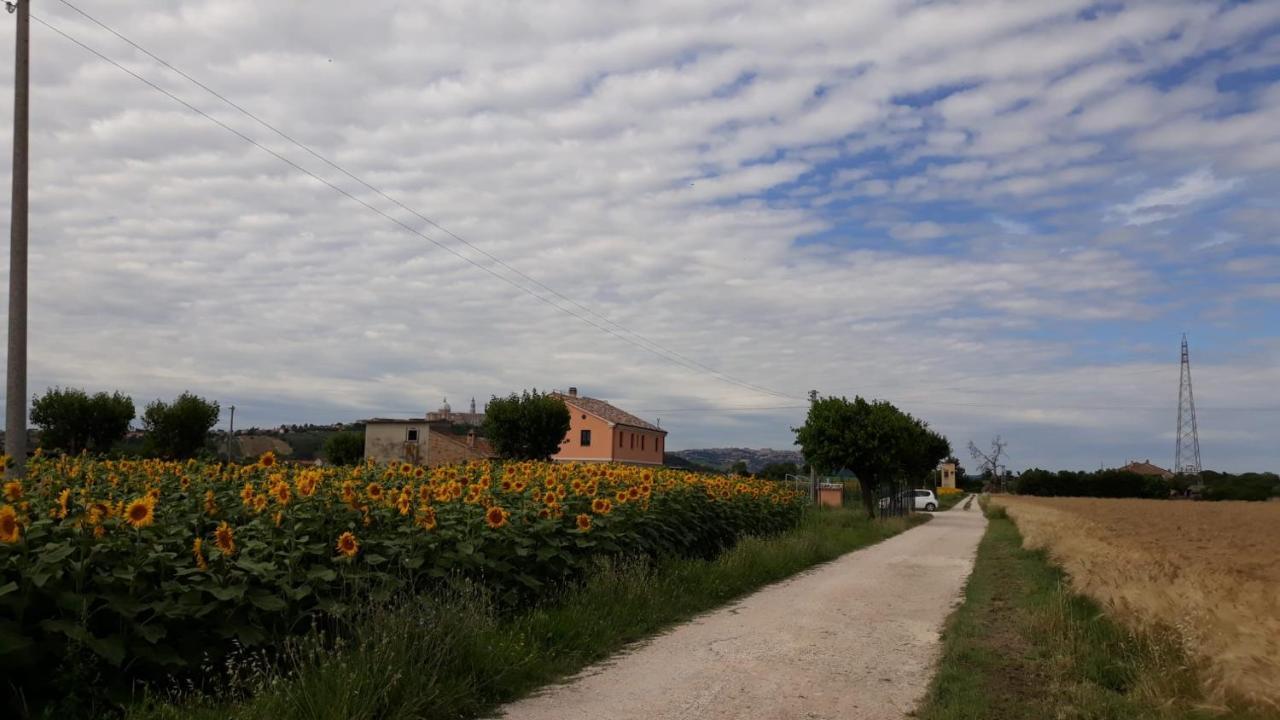 La Dolce Vita Porto Recanati Zewnętrze zdjęcie