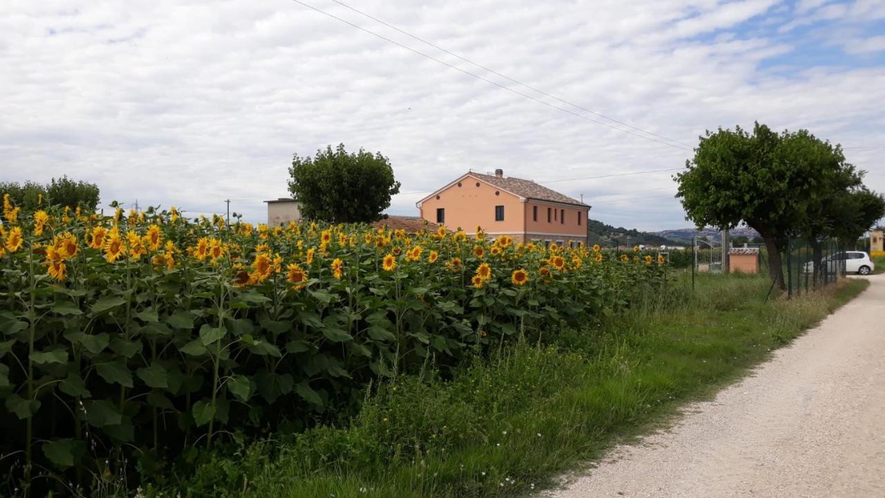 La Dolce Vita Porto Recanati Zewnętrze zdjęcie