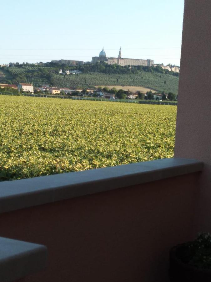 La Dolce Vita Porto Recanati Zewnętrze zdjęcie
