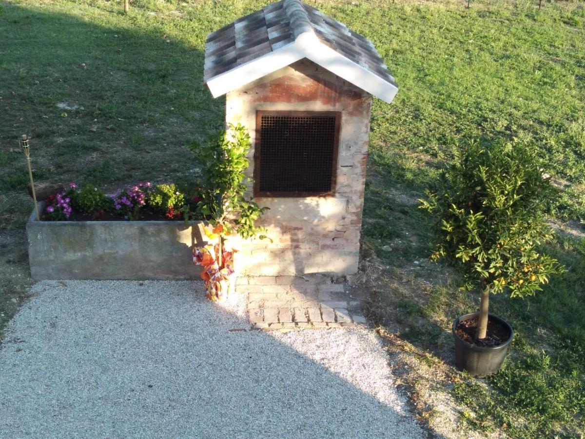 La Dolce Vita Porto Recanati Zewnętrze zdjęcie