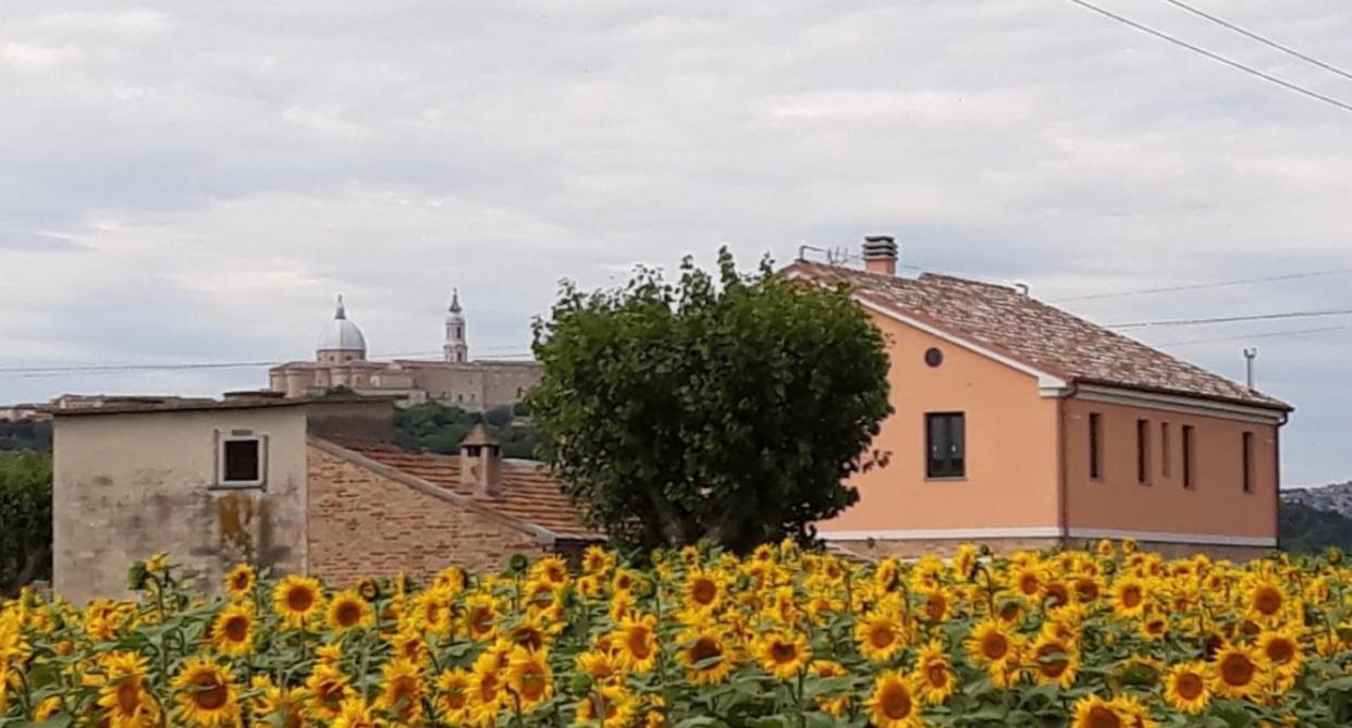 La Dolce Vita Porto Recanati Zewnętrze zdjęcie